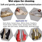 Shoe Cleaning Wipes 80 Count